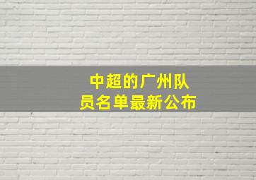 中超的广州队员名单最新公布