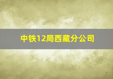 中铁12局西藏分公司