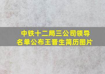 中铁十二局三公司领导名单公布王晋生简历图片