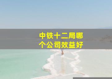 中铁十二局哪个公司效益好