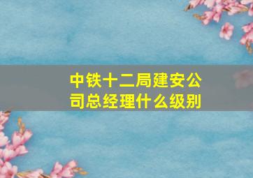 中铁十二局建安公司总经理什么级别