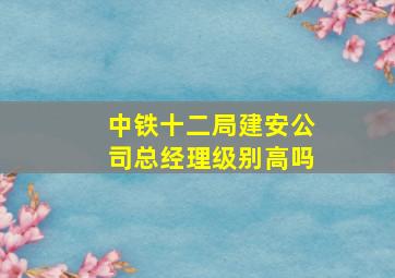 中铁十二局建安公司总经理级别高吗