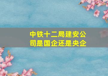 中铁十二局建安公司是国企还是央企