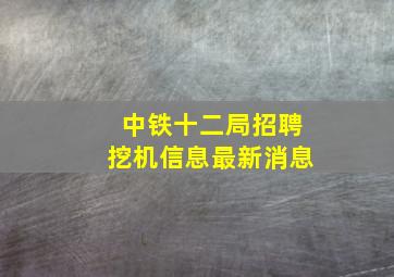 中铁十二局招聘挖机信息最新消息