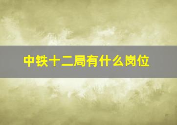 中铁十二局有什么岗位