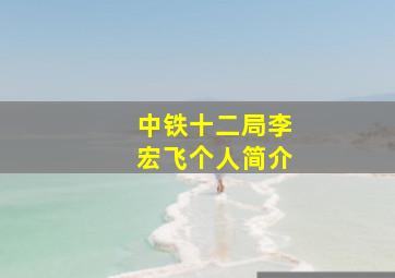 中铁十二局李宏飞个人简介