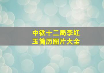 中铁十二局李红玉简历图片大全