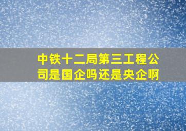 中铁十二局第三工程公司是国企吗还是央企啊