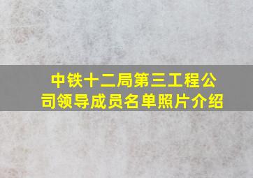 中铁十二局第三工程公司领导成员名单照片介绍