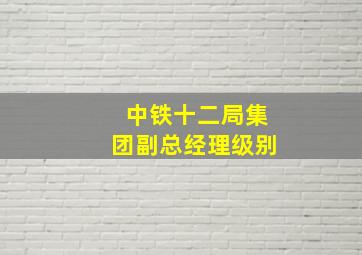 中铁十二局集团副总经理级别