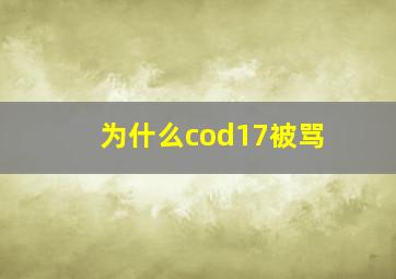 为什么cod17被骂