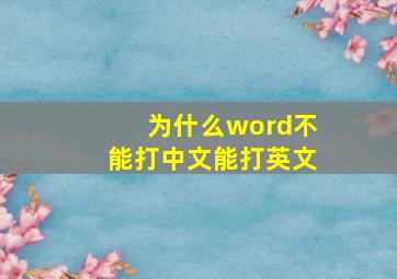 为什么word不能打中文能打英文