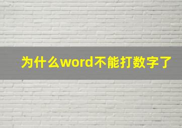 为什么word不能打数字了