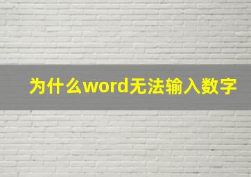 为什么word无法输入数字