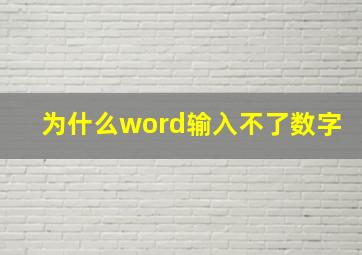 为什么word输入不了数字