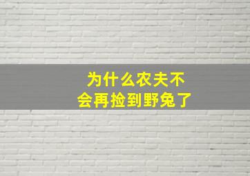 为什么农夫不会再捡到野兔了