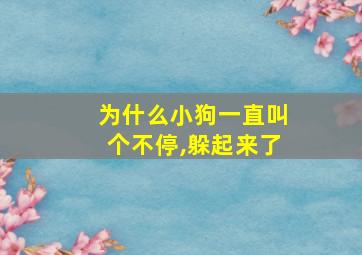 为什么小狗一直叫个不停,躲起来了