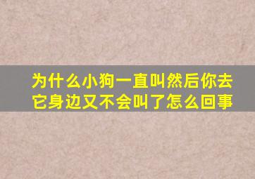 为什么小狗一直叫然后你去它身边又不会叫了怎么回事