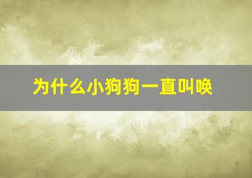 为什么小狗狗一直叫唤