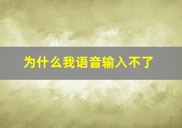 为什么我语音输入不了