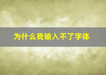 为什么我输入不了字体