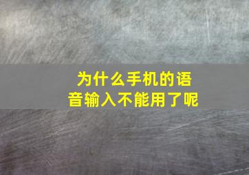 为什么手机的语音输入不能用了呢