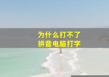 为什么打不了拼音电脑打字