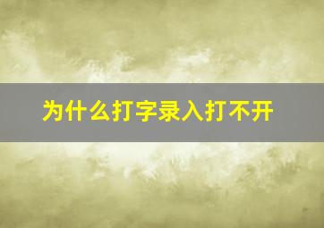 为什么打字录入打不开