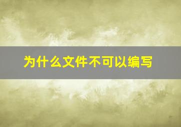 为什么文件不可以编写