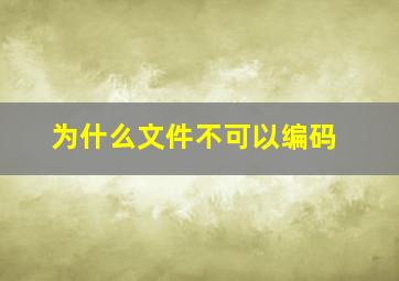 为什么文件不可以编码