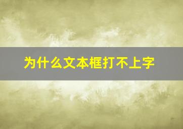 为什么文本框打不上字