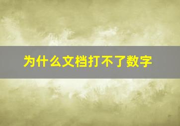 为什么文档打不了数字