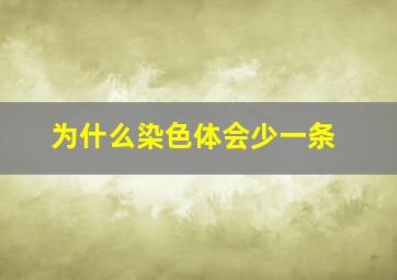 为什么染色体会少一条