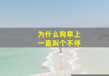 为什么狗早上一直叫个不停