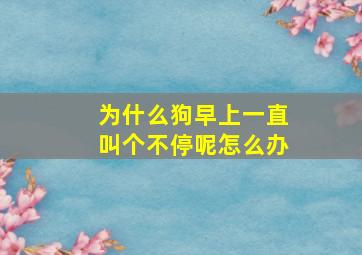 为什么狗早上一直叫个不停呢怎么办