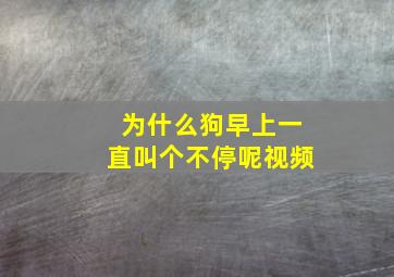 为什么狗早上一直叫个不停呢视频