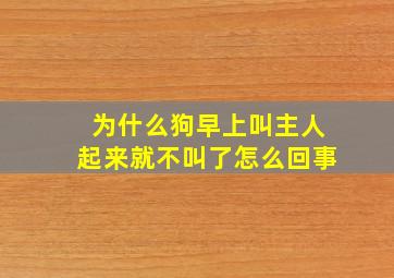 为什么狗早上叫主人起来就不叫了怎么回事