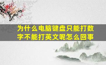 为什么电脑键盘只能打数字不能打英文呢怎么回事