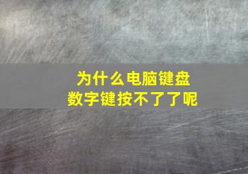 为什么电脑键盘数字键按不了了呢