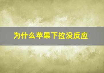 为什么苹果下拉没反应