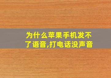 为什么苹果手机发不了语音,打电话没声音