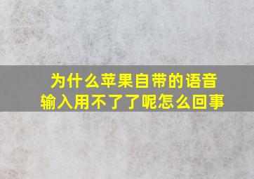 为什么苹果自带的语音输入用不了了呢怎么回事