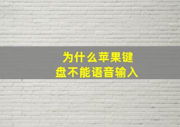 为什么苹果键盘不能语音输入