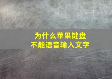 为什么苹果键盘不能语音输入文字