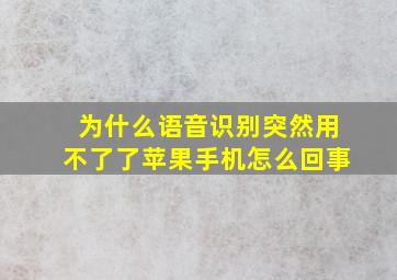 为什么语音识别突然用不了了苹果手机怎么回事