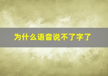 为什么语音说不了字了