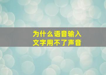 为什么语音输入文字用不了声音