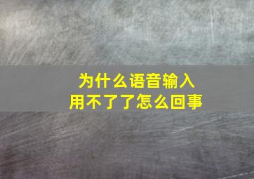 为什么语音输入用不了了怎么回事