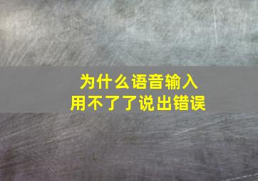 为什么语音输入用不了了说出错误