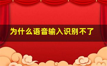 为什么语音输入识别不了